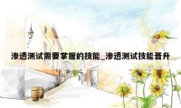 渗透测试需要掌握的技能_渗透测试技能晋升
