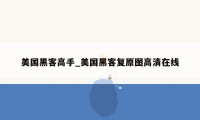 美国黑客高手_美国黑客复原图高清在线