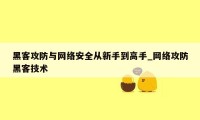 黑客攻防与网络安全从新手到高手_网络攻防黑客技术