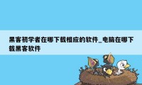 黑客初学者在哪下载相应的软件_电脑在哪下载黑客软件