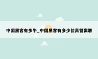 中国黑客有多牛_中国黑客有多少位高管离职